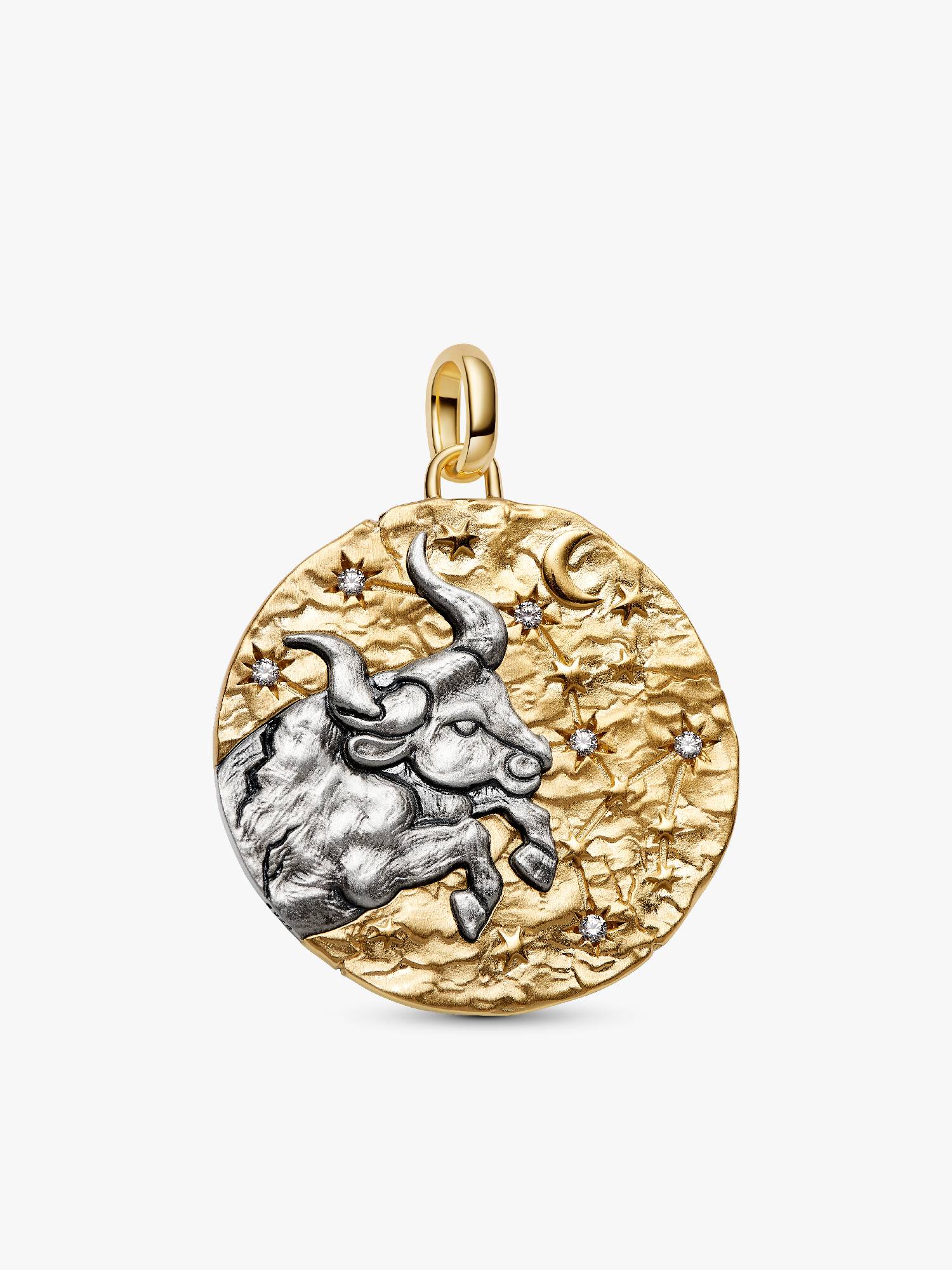 Stjernetegnet Tyren Oversized Medaljong Charm