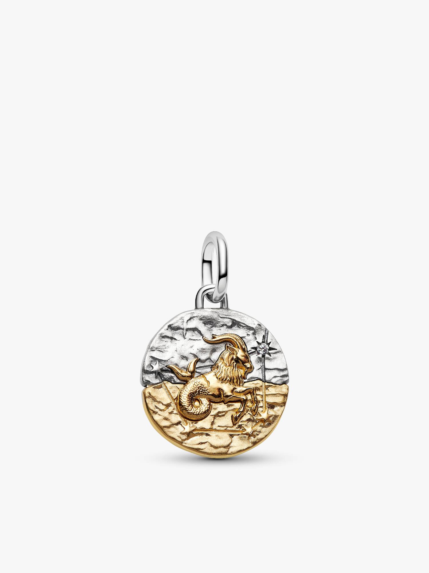 Stjernetegnet Steinbukken Medaljong Charm