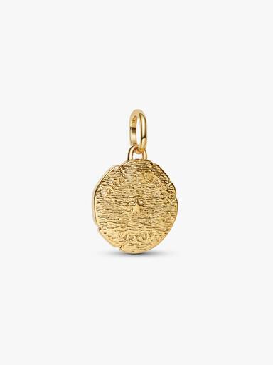 Løve Medaljongcharm