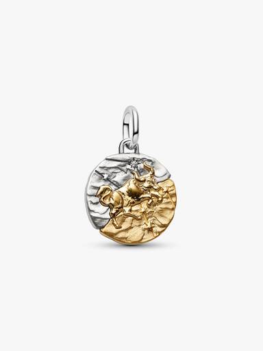 Stjernetegnet Tyren Medaljong Charm