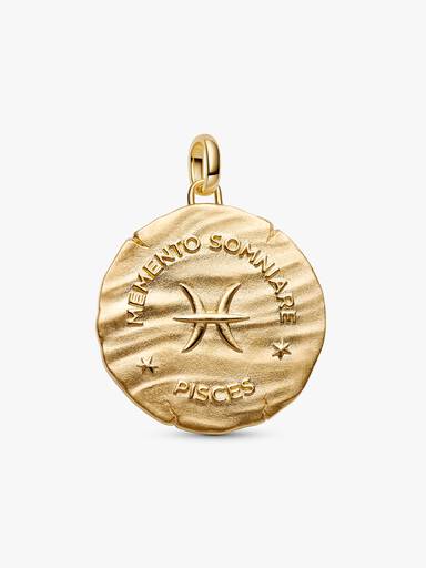 Stjernetegnet Fiskene Oversized Medaljong Charm