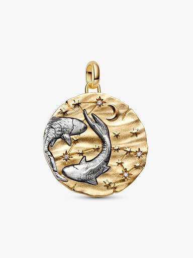 Stjernetegnet Fiskene Oversized Medaljong Charm