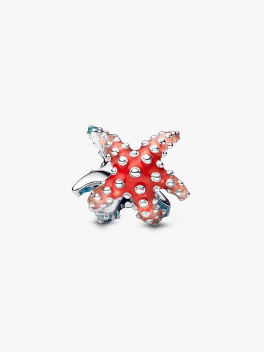 Fargerik Sjøstjerne Mini Charm