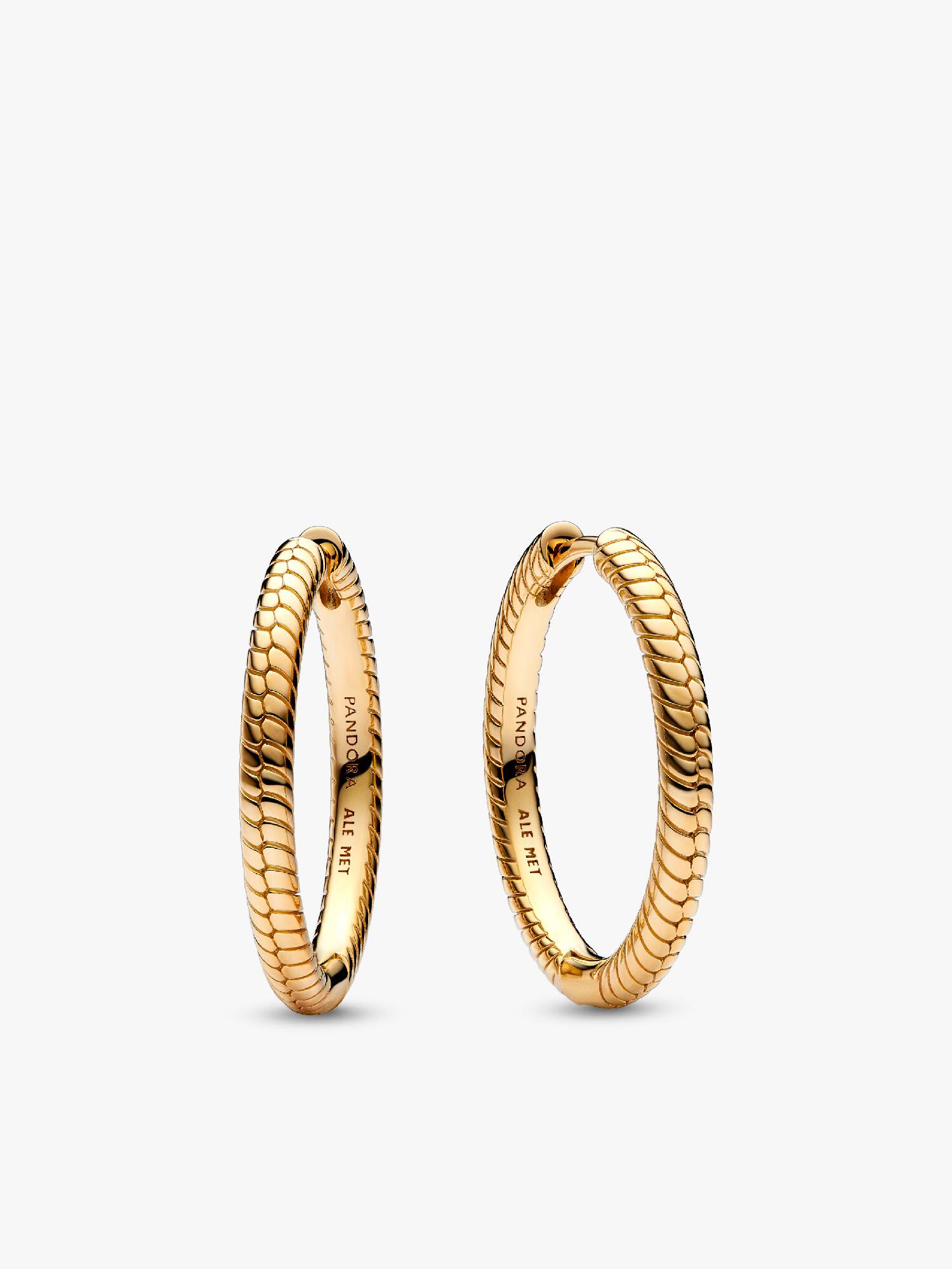 Pandora Moments Charm Øreringer