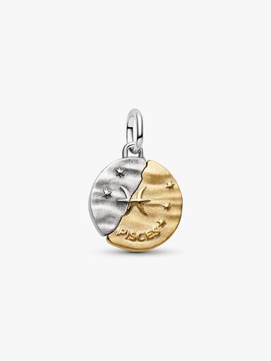 Stjernetegnet Fiskene Medaljong Charm