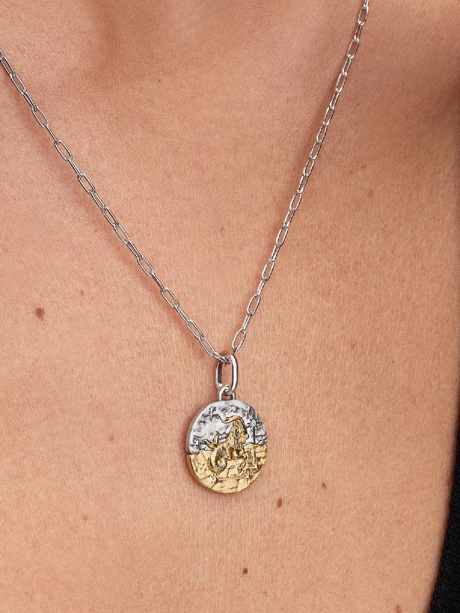 Stjernetegnet Steinbukken Medaljong Charm