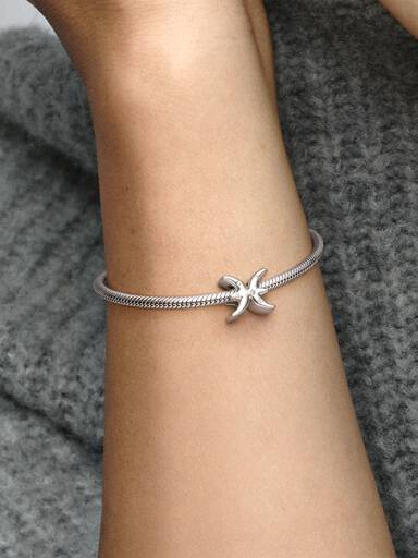 Sparkling Pisces Zodiac charm