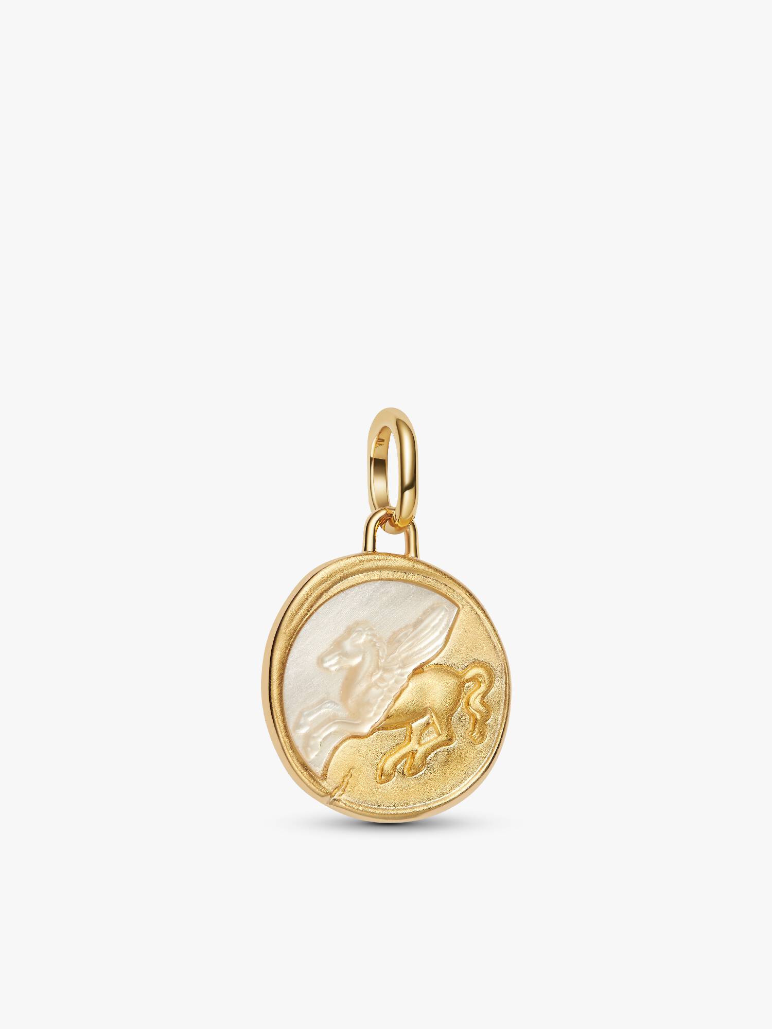 Pegasus Medaljong Charm