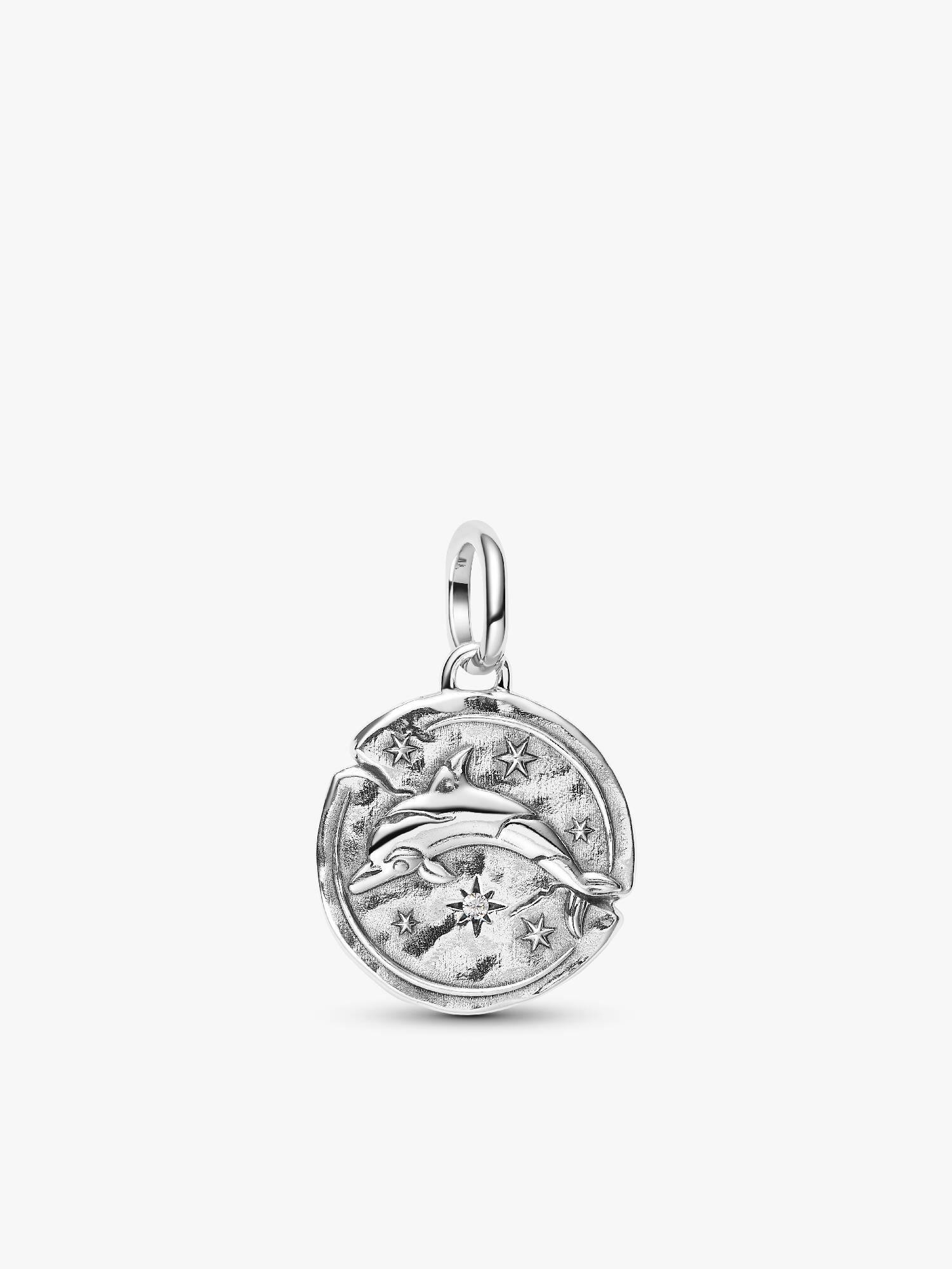 Delfin Medaljong Charm