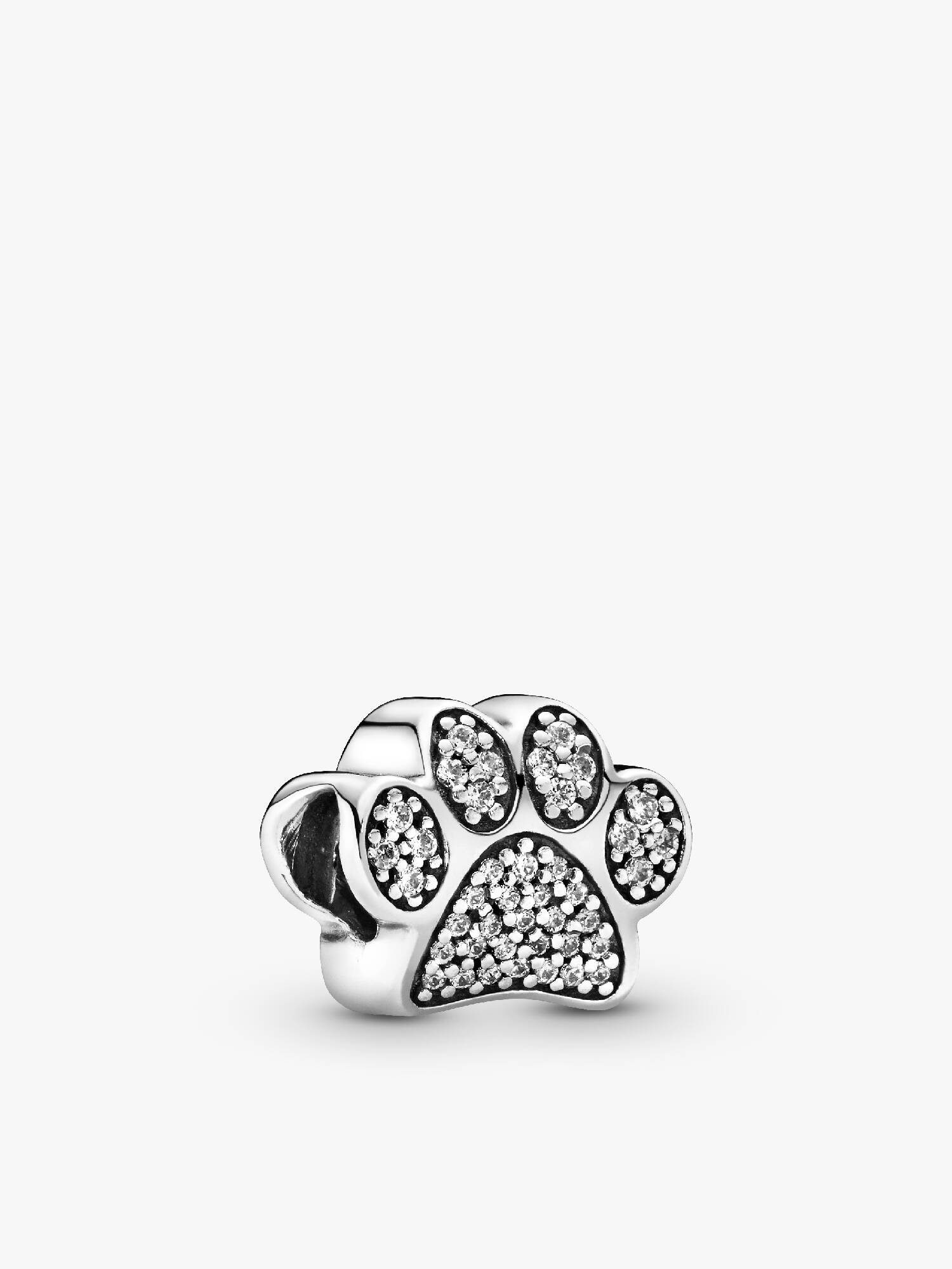 Paw Prints