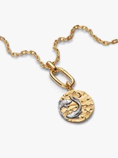 Stjernetegnet Fiskene Oversized Medaljong Charm