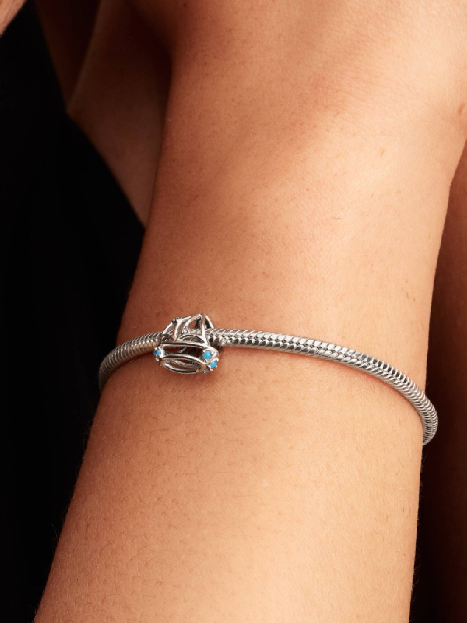 Seilbåt Charm