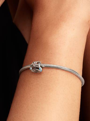 Seilbåt Charm