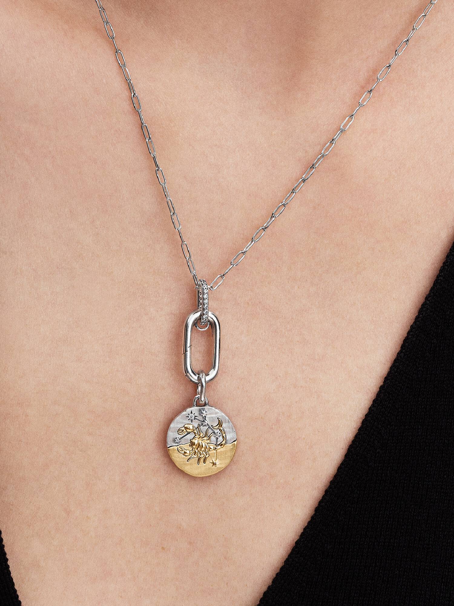 Stjernetegnet Skorpionen Medaljong Charm