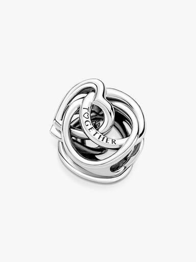 Familie For Alltid Omkranset Hjerte Charm