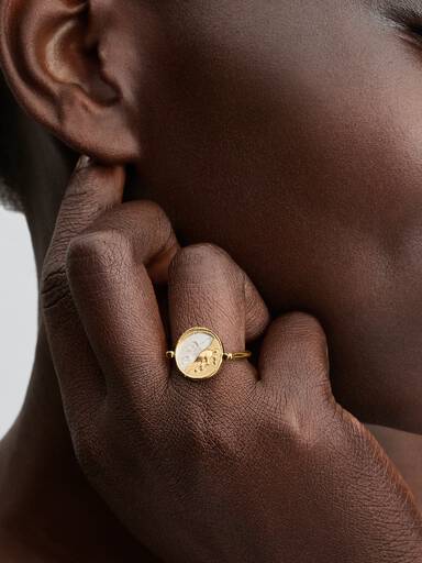 Pegasus Vendbar Medaljong Ring