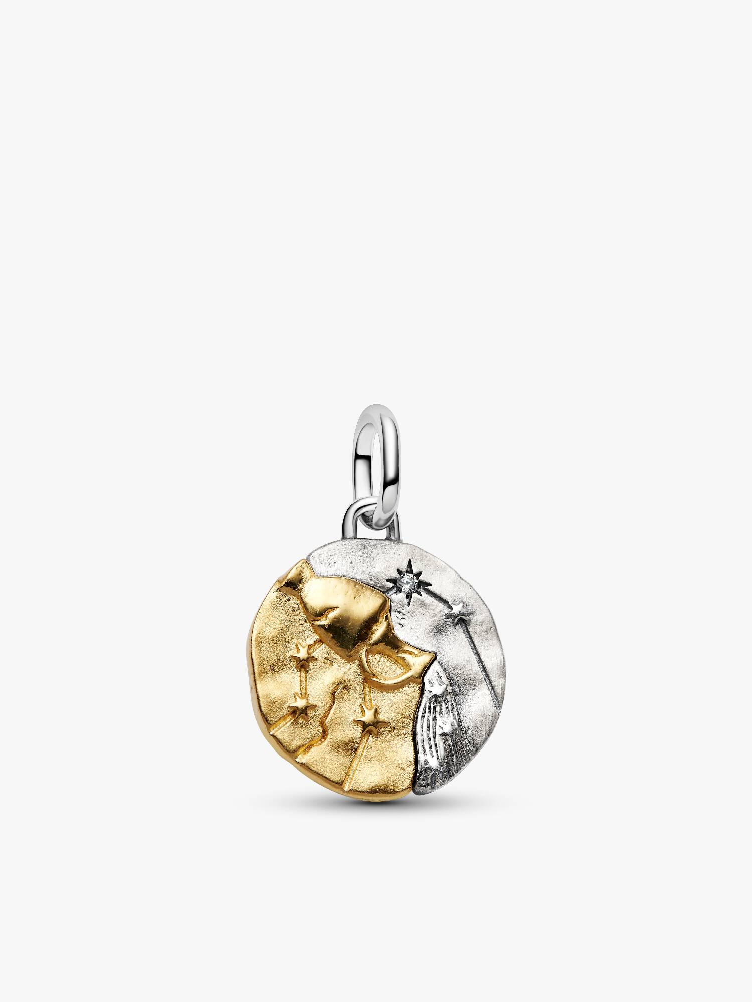 Stjernetegnet Vannmannen Medaljong Charm