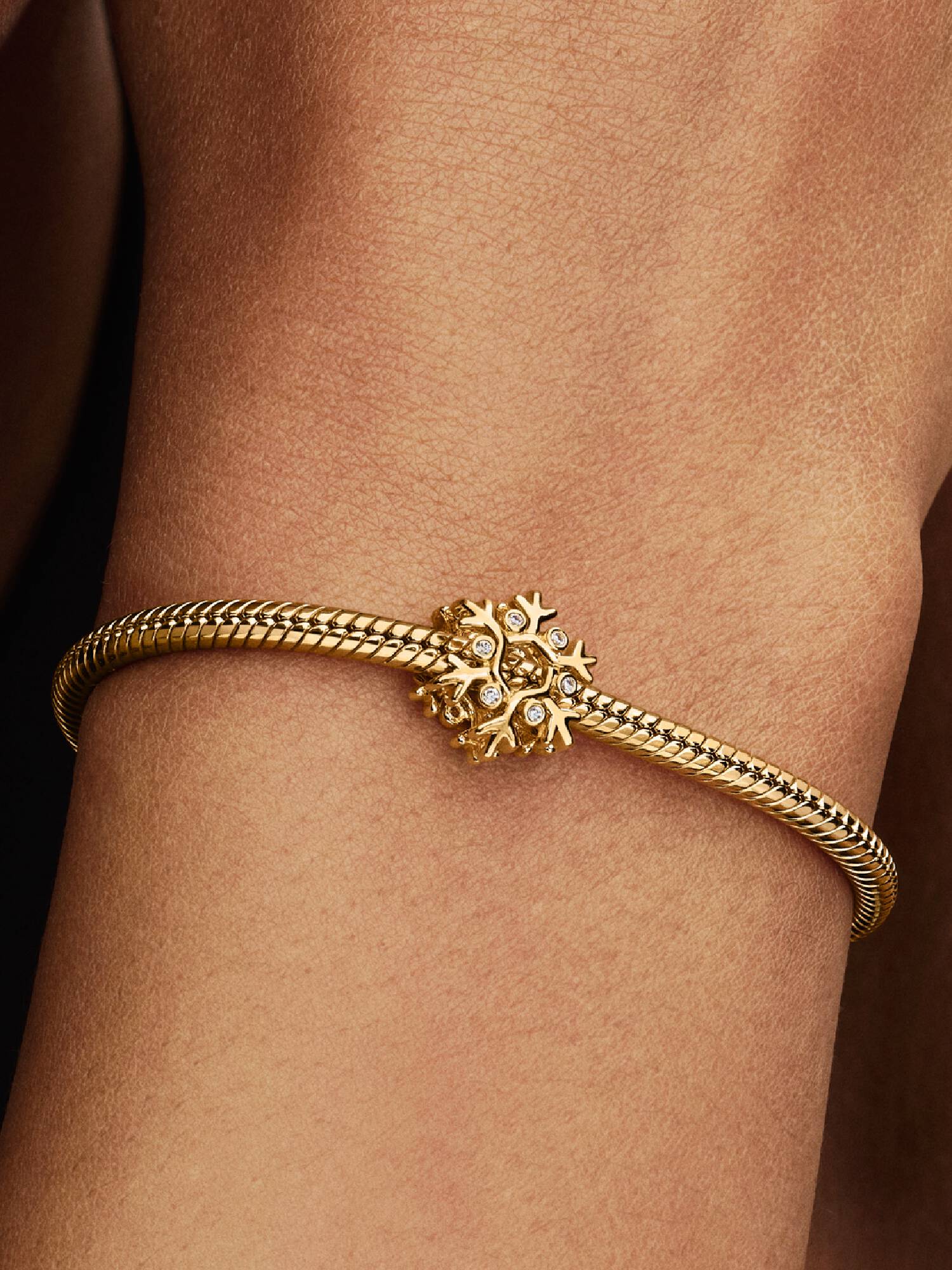 Snøfnugg Charm