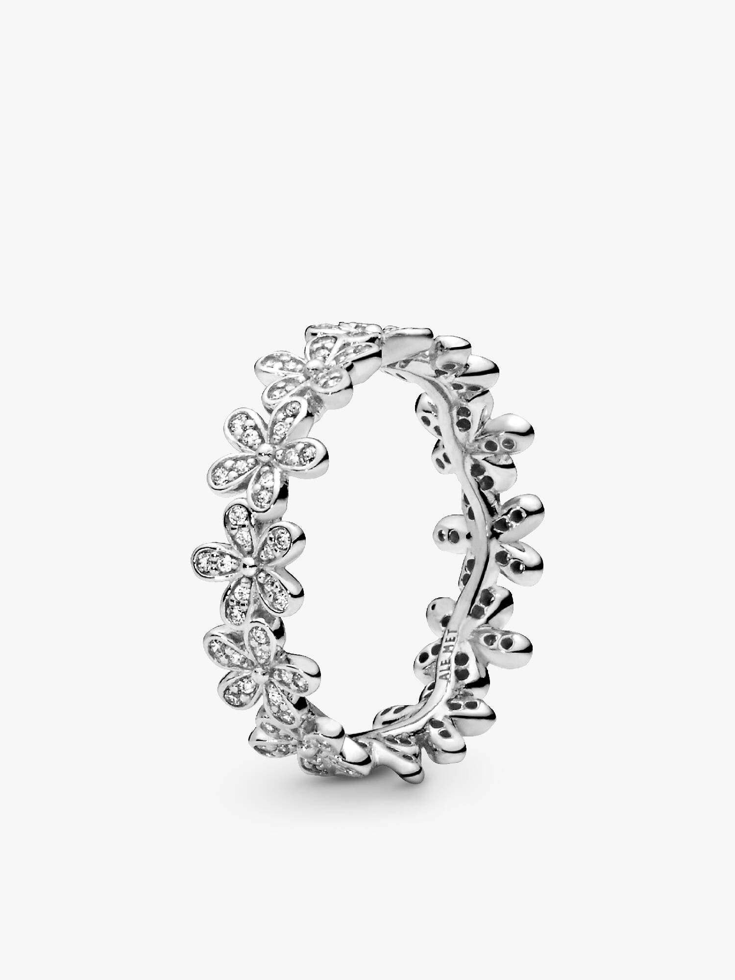 Dazzling Daisy Band