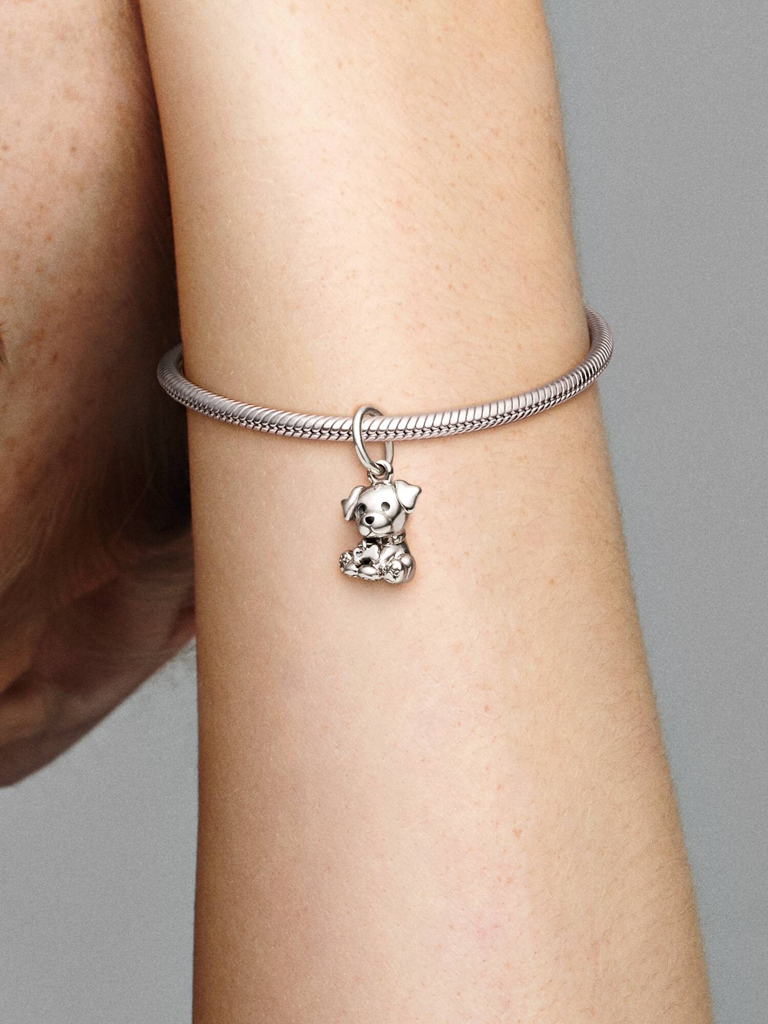 Labradorvalp Hengende Charm