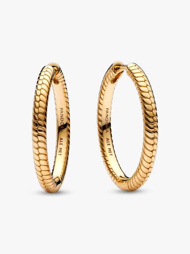 Pandora Moments Charm Øreringer