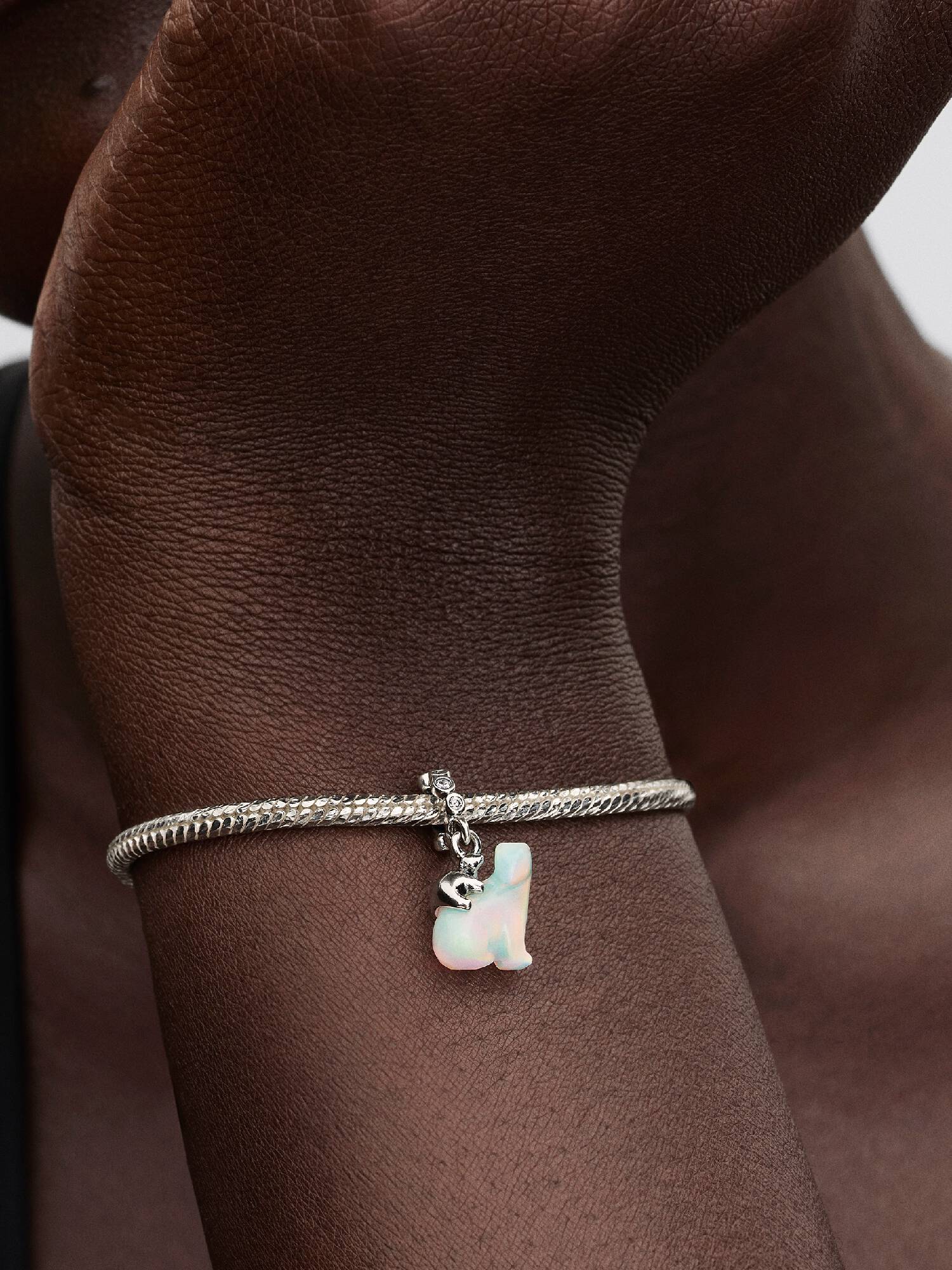 Isbjørnmor og Unge Hengende Charm