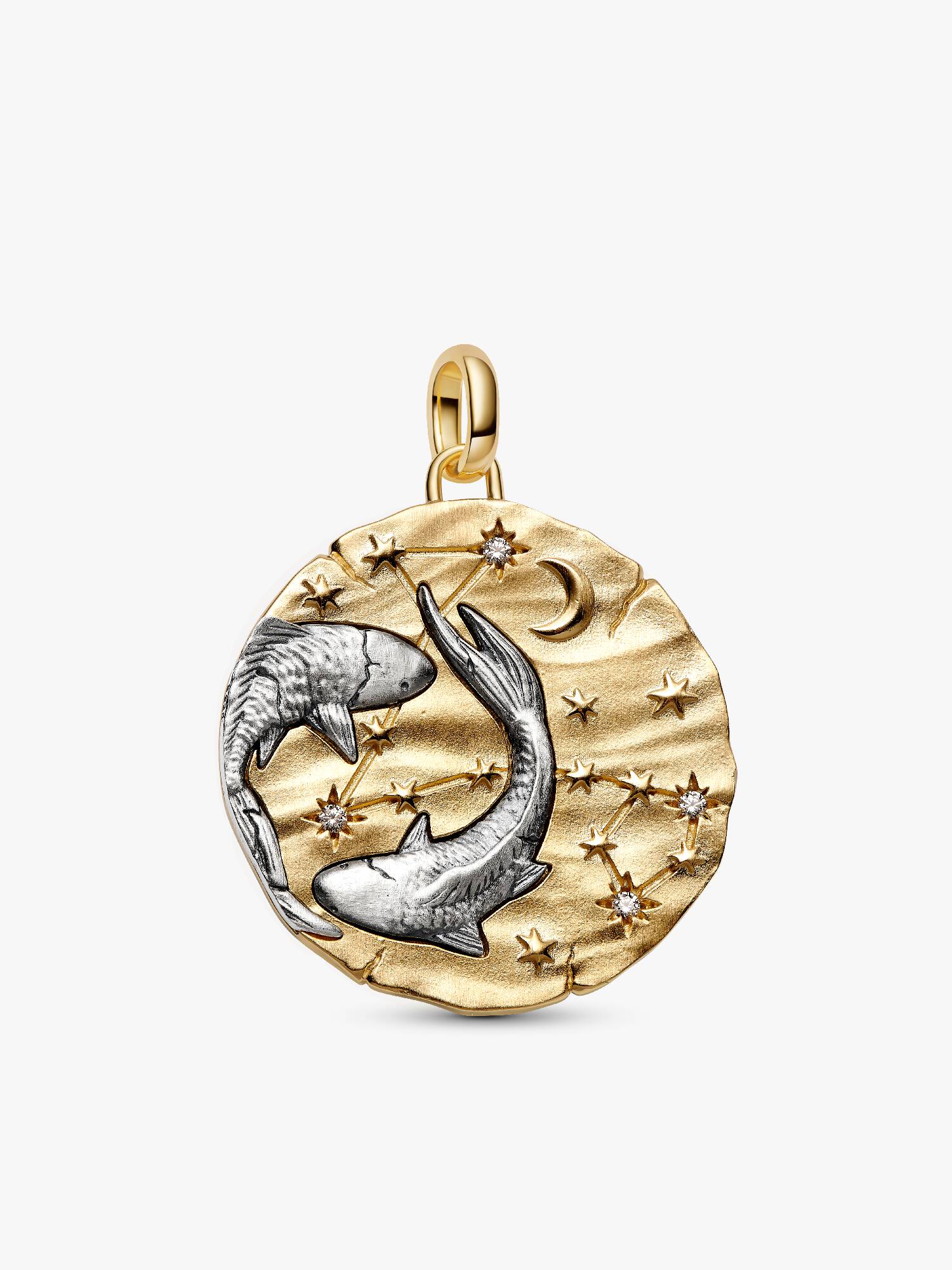 Stjernetegnet Fiskene Oversized Medaljong Charm