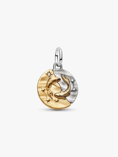 Stjernetegnet Fiskene Medaljong Charm